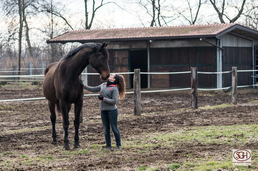 San Giacomo Horses & Agriturismo アルルーノ エクステリア 写真