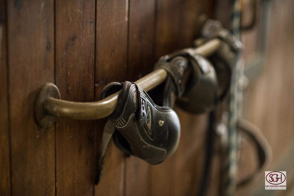 San Giacomo Horses & Agriturismo アルルーノ エクステリア 写真
