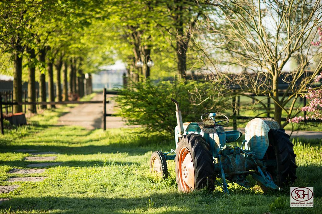 San Giacomo Horses & Agriturismo アルルーノ エクステリア 写真