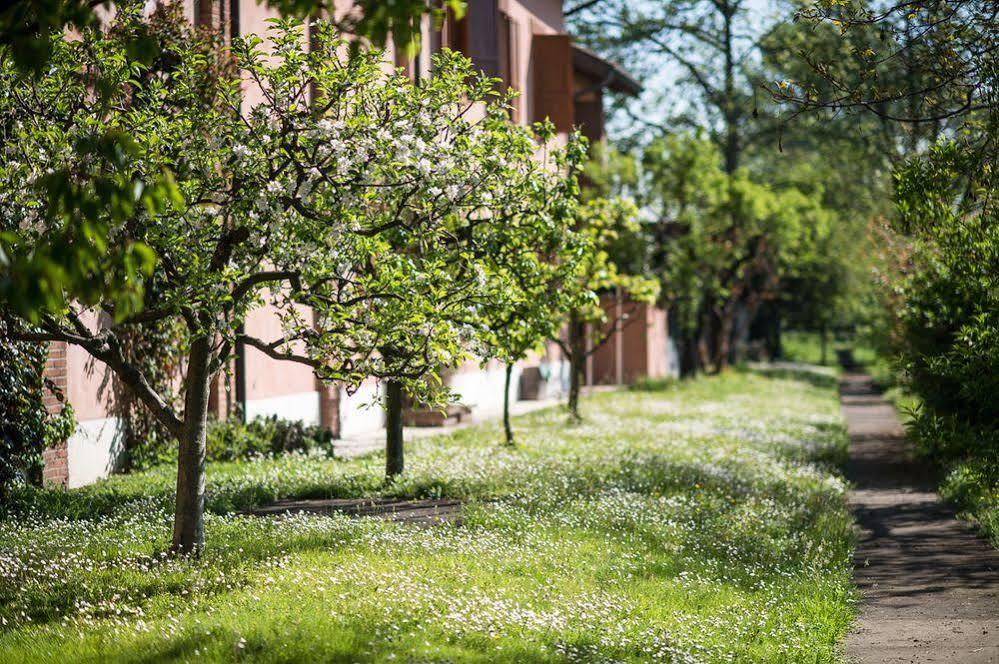 San Giacomo Horses & Agriturismo アルルーノ エクステリア 写真