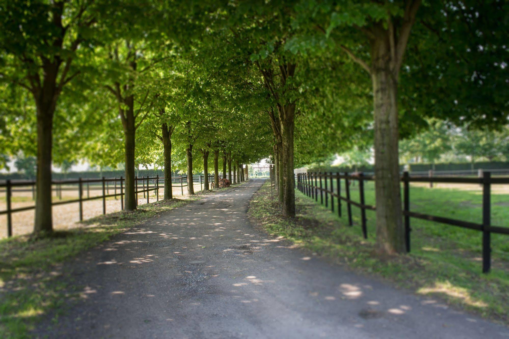 San Giacomo Horses & Agriturismo アルルーノ エクステリア 写真