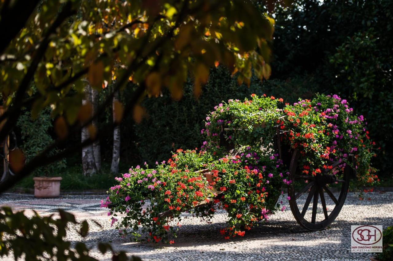 San Giacomo Horses & Agriturismo アルルーノ エクステリア 写真